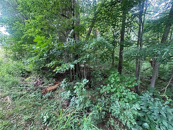 3rd image of 5281 N Forest Blvd #43
