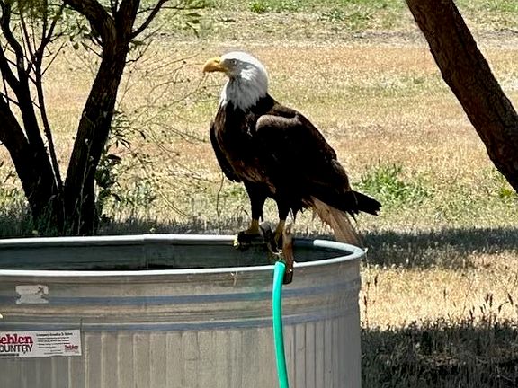 4th image of 0 Interlake Rd