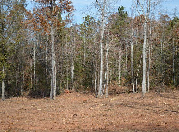2nd image of 4500 County Road 11