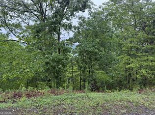 321 Oberlin Ct, Ranger, GA 30734