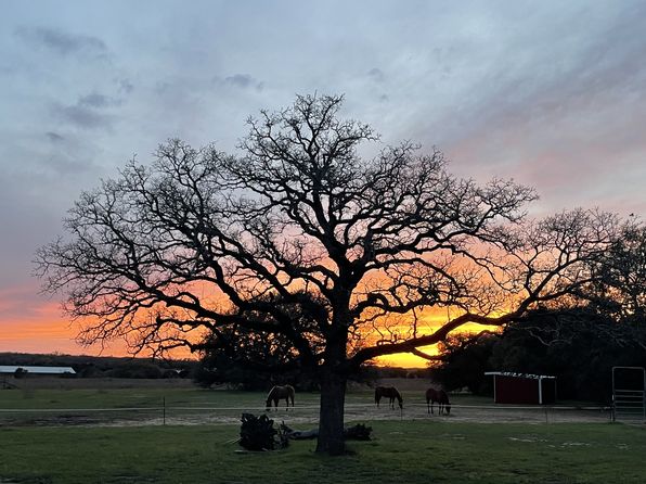 5040 Rustic Ln #B, Tolar, TX 76476