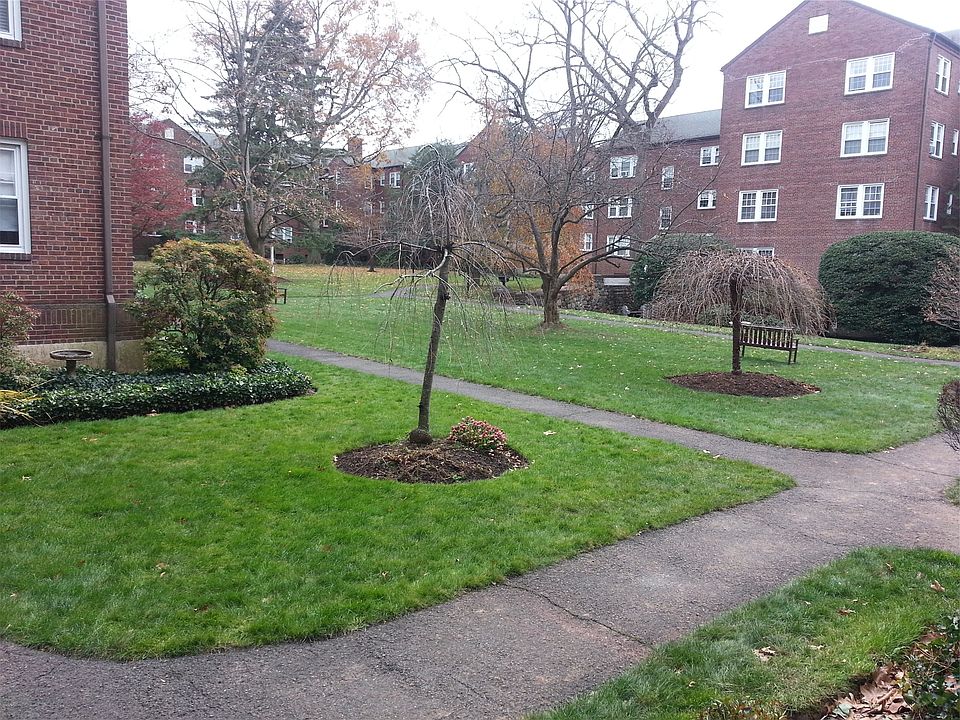 Beautiful Courtyard