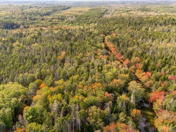 Burridge Rd, Clare, NS B0W