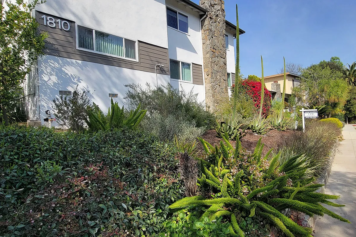 Sidewalk view of front yard landscaping at The Hardison Apartments in Pasadena, California. - The Hardison