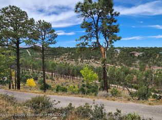 63 El Camino Dr, Alto, NM 88312