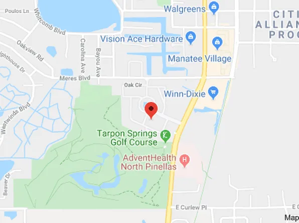 1306 Golfview Dr, Tarpon Springs, FL 34689