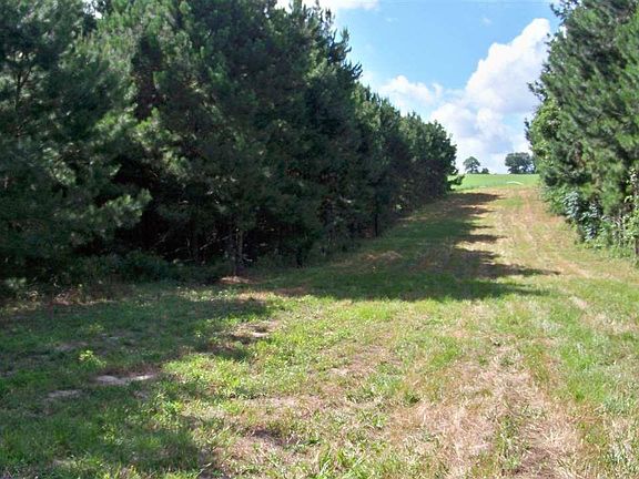 2nd image of 0 County Road 4325