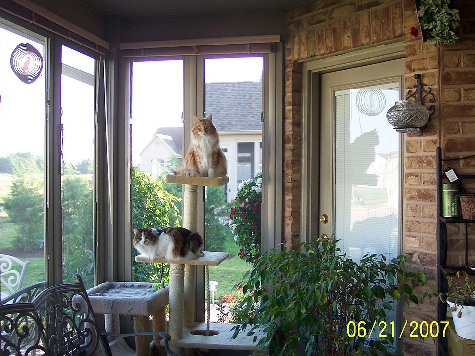 Enclosed Back Porch