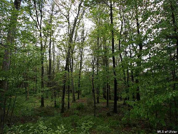 5th image of Oakwood Dr
