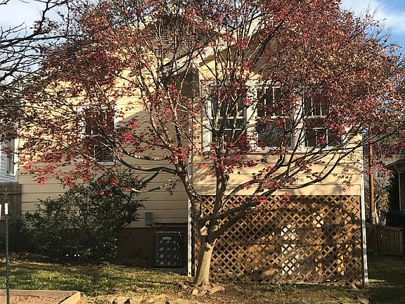 Back of House Framed by Red Maple