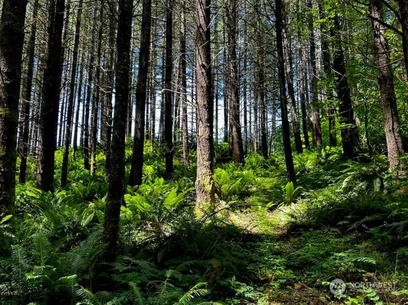 111 Marjorie Lane, White Pass, WA 98377