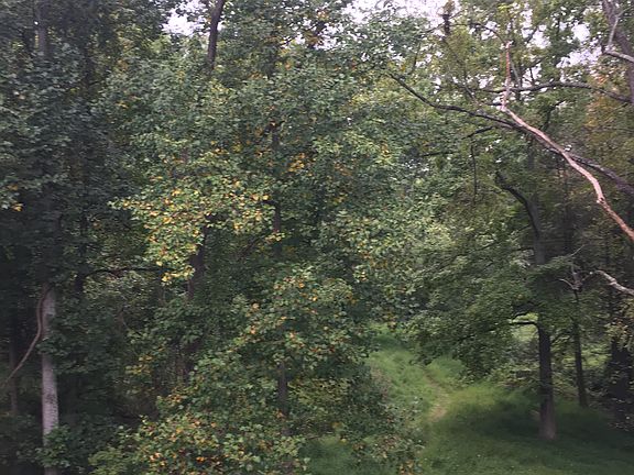 5th image of 2003 Deertree Ln