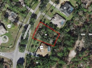 54 Oak Village Blvd S, Homosassa, FL 34446