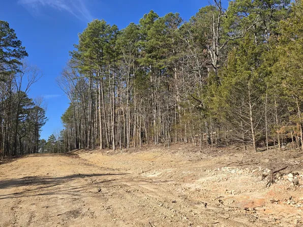 000 Mineral Dr. Lot 4, Houston, MO 65483