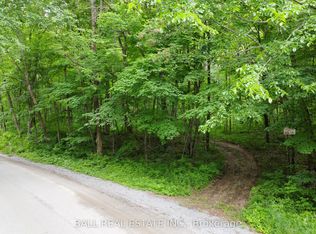 0 Northern Ave, Trent Lakes, ON K0M 1A0
