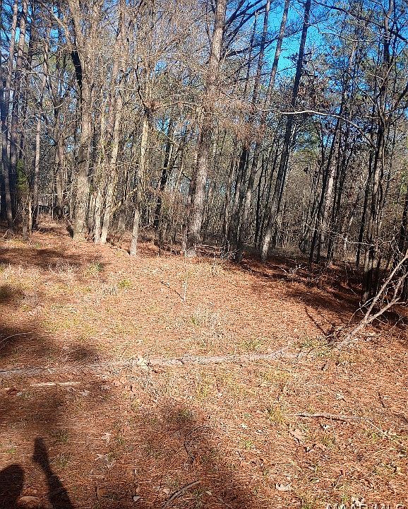1st image of 437 Hayneville Ridge Rd