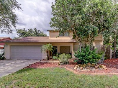 4801 Hayride Ct, Tampa, FL, 33624