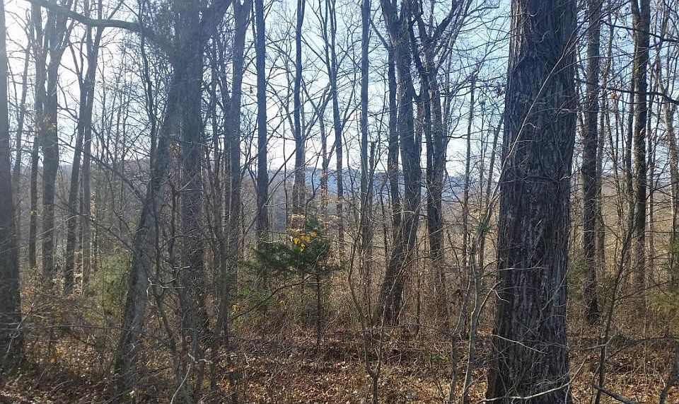 1st image of TRACT 4B River Chase Trl