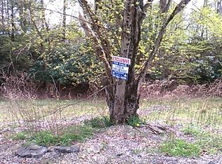 Island Rd, Downsville, NY 13755