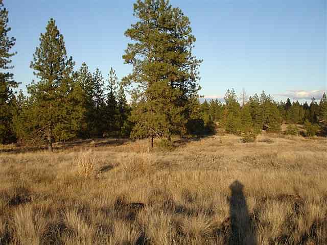 1st image of 0 Whispering Pines Dr E