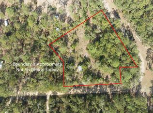 412 NE Blue Springs Church Rd, Lee, FL 32059