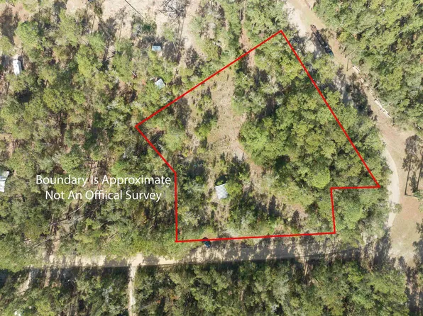 412 NE Blue Springs Church Rd, Lee, FL 32059