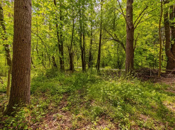 00 Woodchuck Hill, Arlington, VT 05250