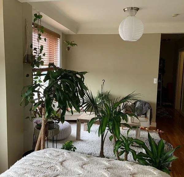 15 E Kirby St #730 — Photo 12