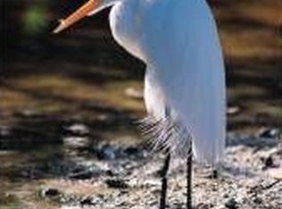 2632 Stump Blind Trl, Myrtle Beach, SC 29588