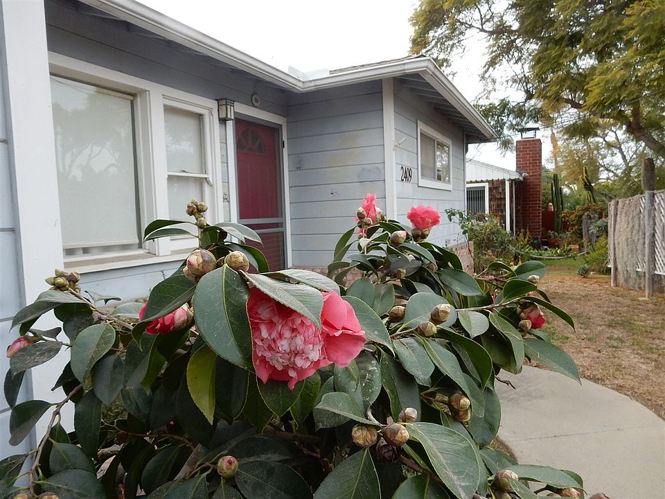 1st image of 2409 Mesa Dr