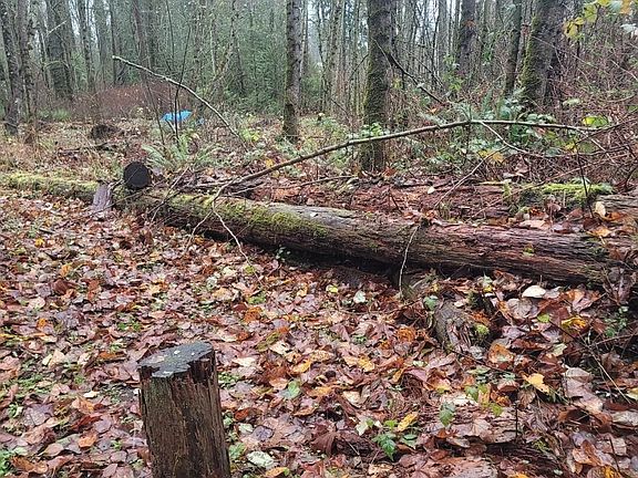 5th image of 35750 Military Road S