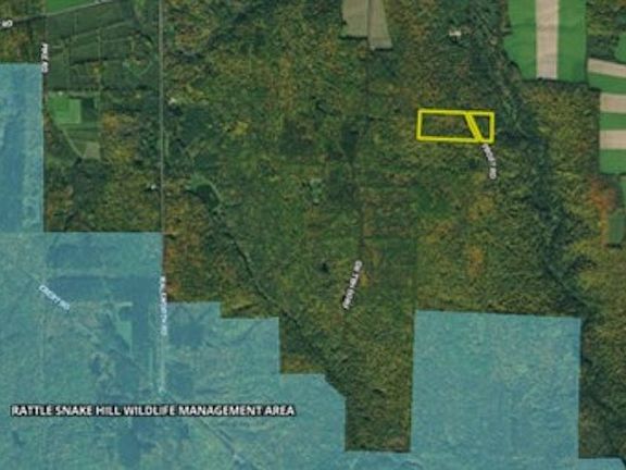 4th image of 10051-55 Frost Rd