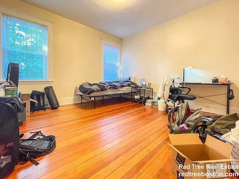 207 Chestnut Hill Ave #1 — Photo 19