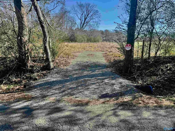 LOT 6 Matt Morrow Rd, Arab, AL 35016