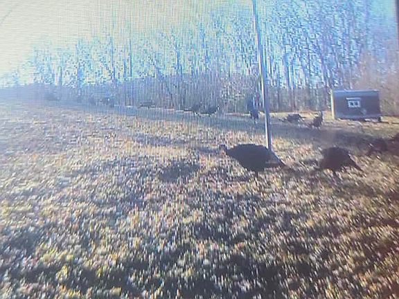 5th image of 10470 Morgantown Pike