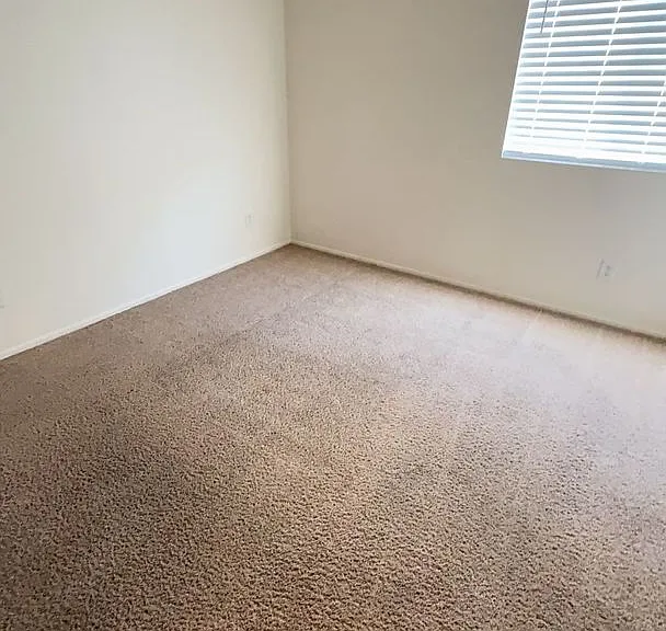 11584 Fern Pine St — Photo 11