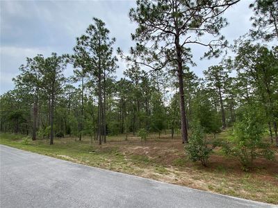 NW Water Oak Ave LOT 32, Dunnellon, FL, 34431