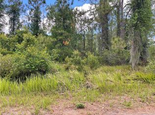 1 Locust Place Run LOT 1, Ocala, FL 34472