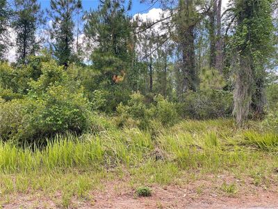 1 Locust Place Run LOT 1, Ocala, FL, 34472