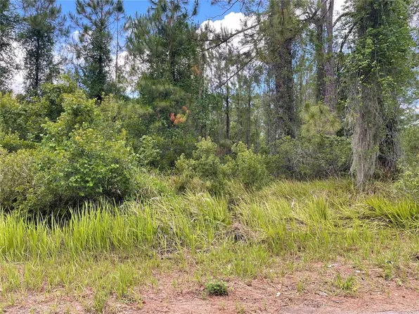 1 Locust Place Run Lot 1, Ocala, FL 34472