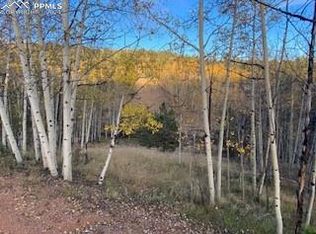 212 Wolftone Dr, Cripple Creek, CO 80813