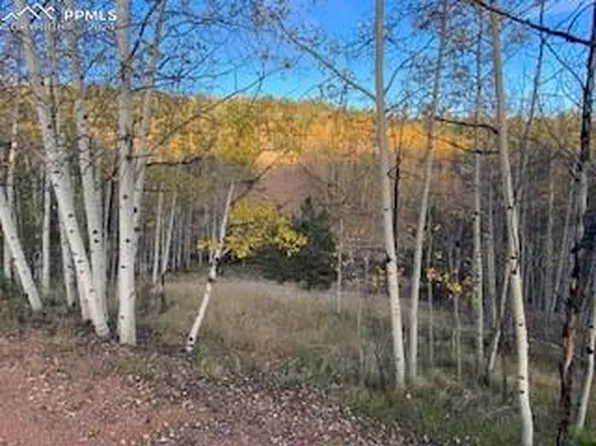 212 Wolftone Dr, Cripple Creek, CO 80813