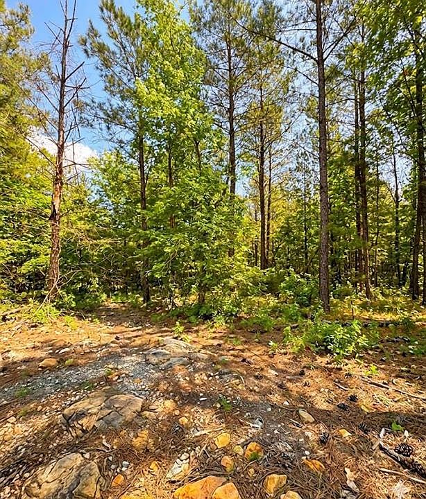 1st image of 122 Southern Locust Trl Lot 218