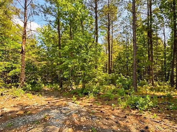 122 Southern Locust Trl Lot 218, Broken Bow, OK 74728