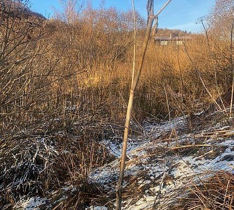 3rd image of L19 Shelby Kay St