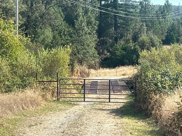 29839 Terry Mill Rd, Round Mountain, CA 96084