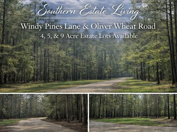 Oliver Wheat Rd Lot 4-A-1, Livingston, LA 70754