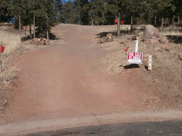 206 Eagles Perch Pl, Woodland Park, CO 80863