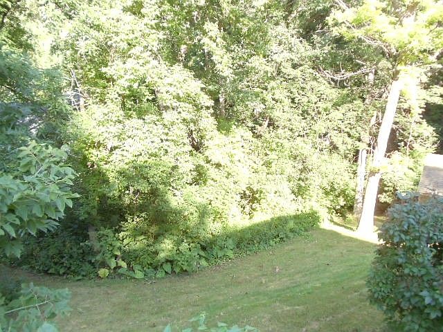 2nd image of LOT 1 Deertrail Rd