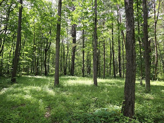 3rd image of 0 Sacandaga Rd